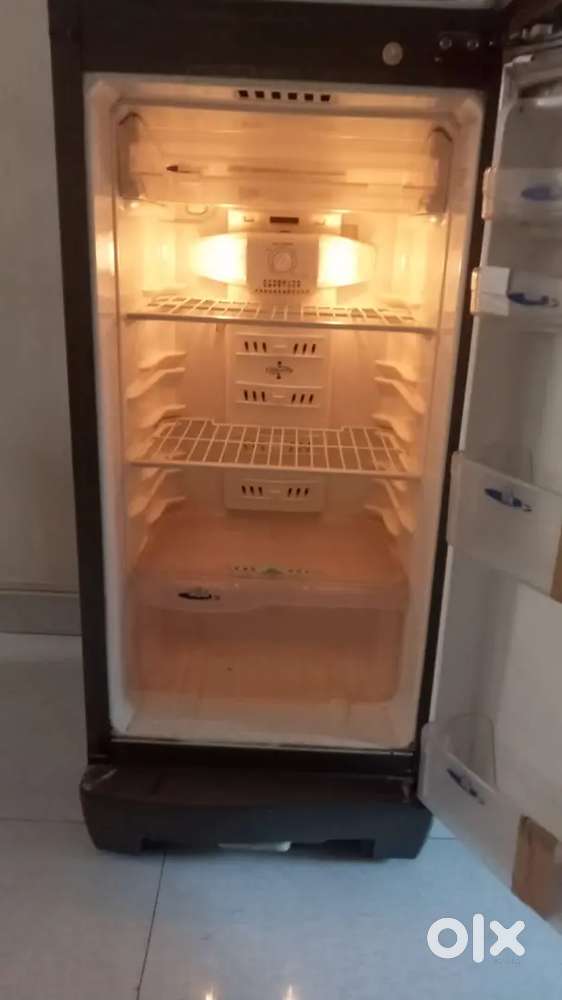 Goorej fridge