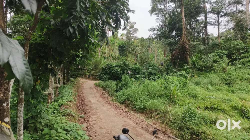 25 cent plot for sale near mattakkara