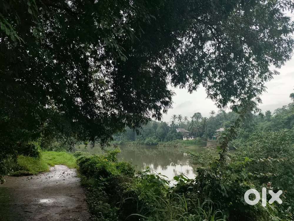 Muvattupuzha mekkadampu 2.5 acre for sale