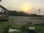 4 katha myadi plot for sale in Tezpur
