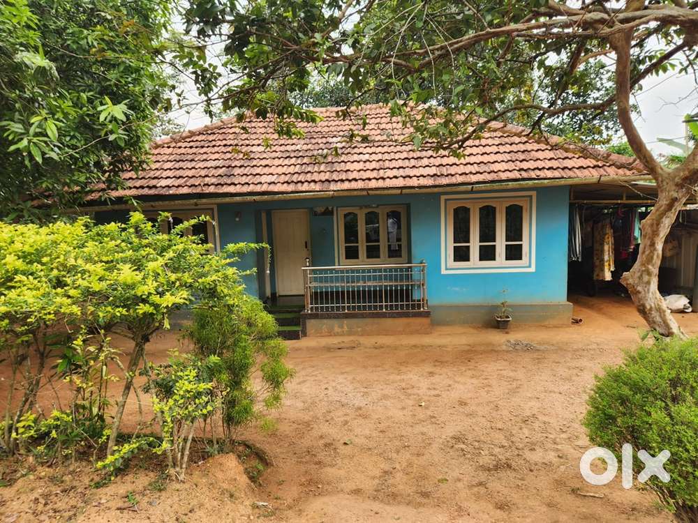 10 centvland with a old house for sale @wayqnad