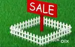 Plot For Sale 12000 / Gz
