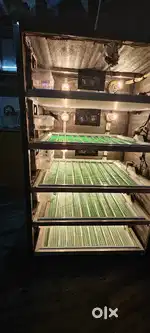 Incubator for sale