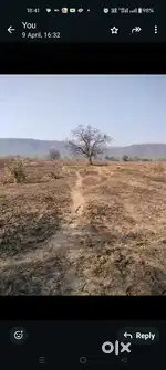 Premium land for sale.