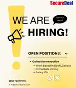 COLLECTION EXECUTIVE & PRODUCT MANAGER &BUSINESS DEVELOPMENT EXECUTIVE