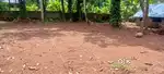പെരുംപുഴ ജംഗ്ഷനിൽ 14 സെന്റ് പുരയിടം വില്പനക്ക്,രണ്ടായിട്ടും കൊടുക്കും