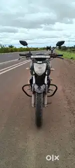 Fz s virgin 1