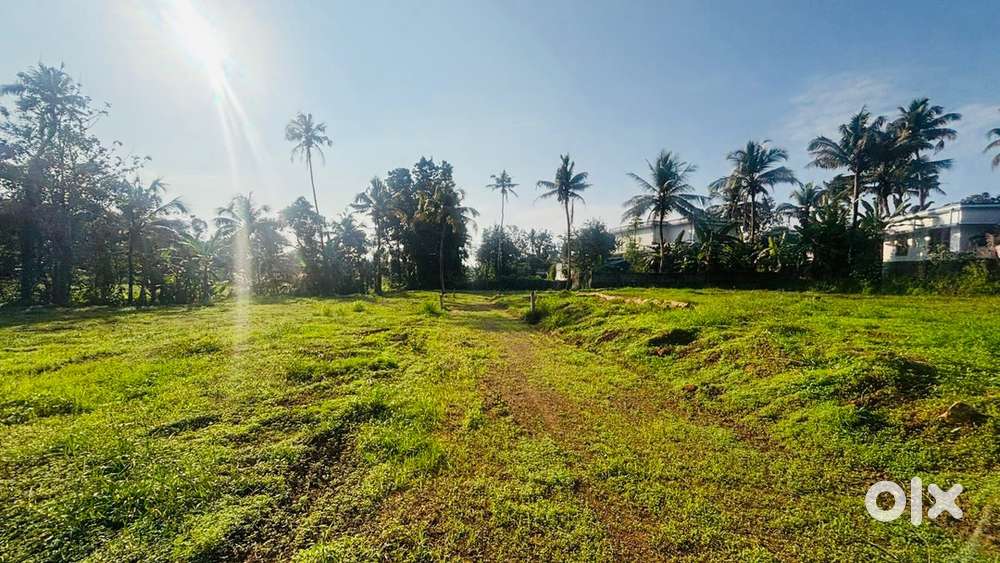 Residential Villa Plots Near Perumbavoor,Iringole(5-20 Cent)