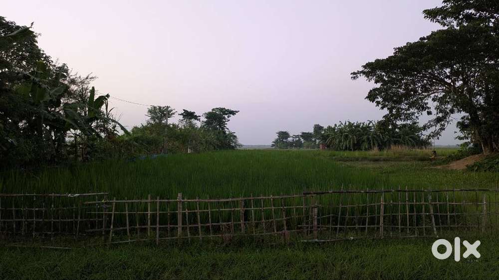 Land Sale at Khetri , Sonapur, Guwahati, (Tribal belt Land)