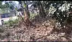 Prime Land for Sale Near Raghavpur Petrol Pump, Vaishali – Ideal for R