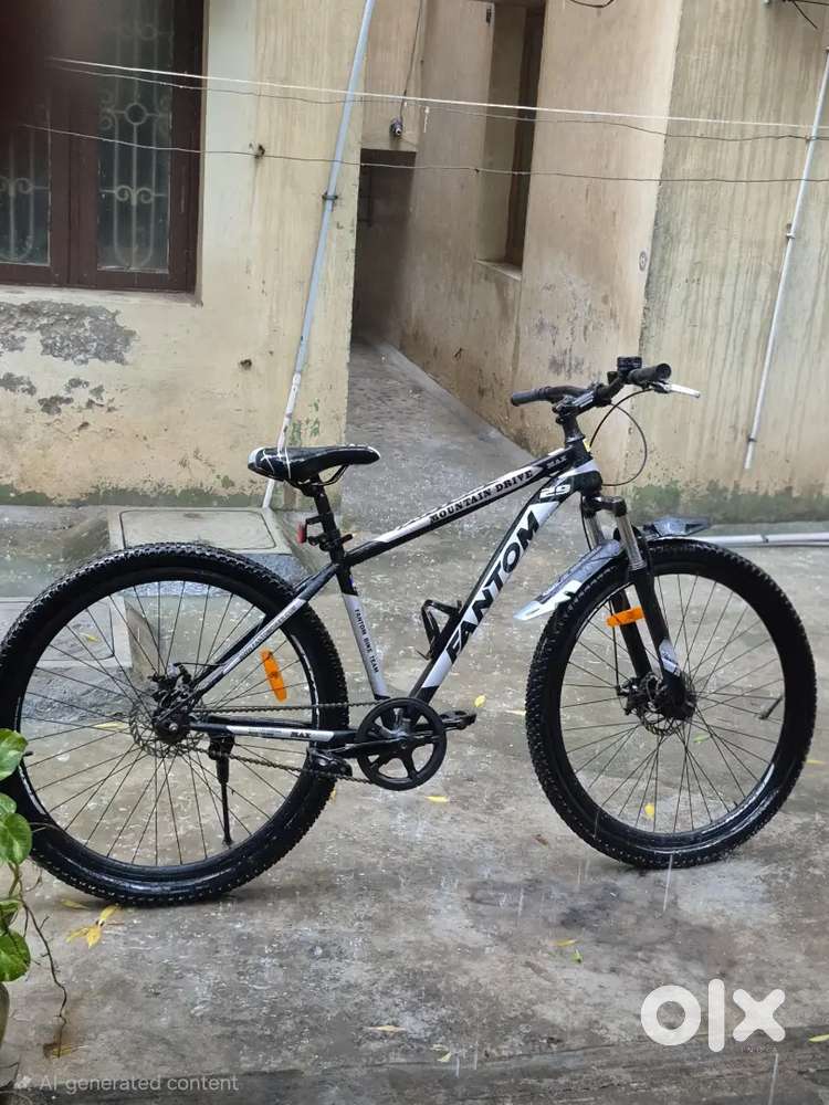 Fantom Men's MAX Tubular 29 Single Speed 19.00 Fantom Men's MAX Tube