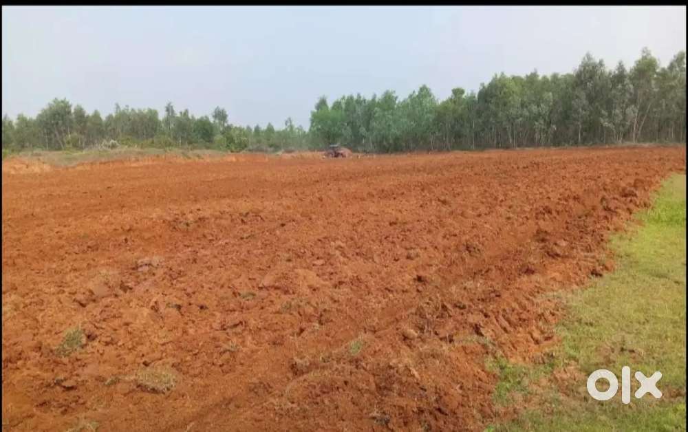 Agriculture land for sale