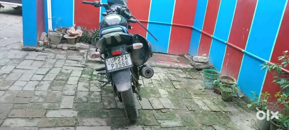 Pulser 125 new condition up22 bike