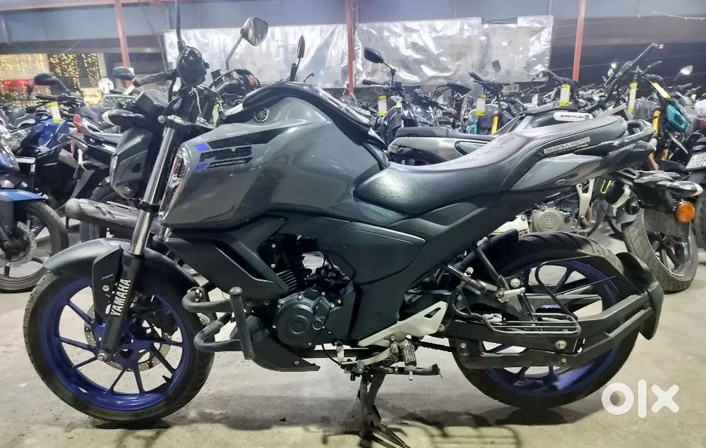 Zip zap zoom fzs year 2022