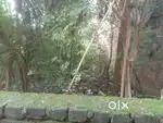 Kalindi park se 100 meter ki duri par