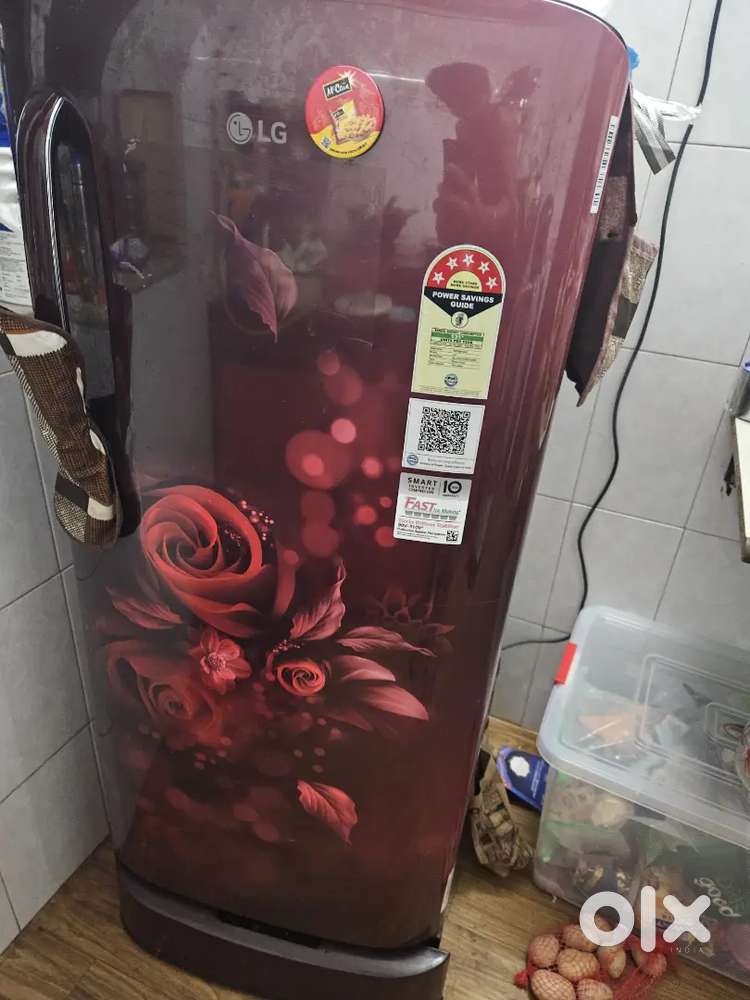 Lg fridge 6 months old