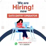 Data operator / Back Office /Office Assistant