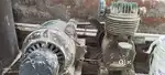 Compressor and motor