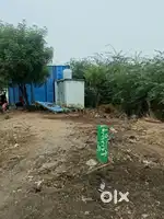 Site with shed