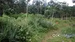23.5cent Land for sale in Nedumkunnam town center
