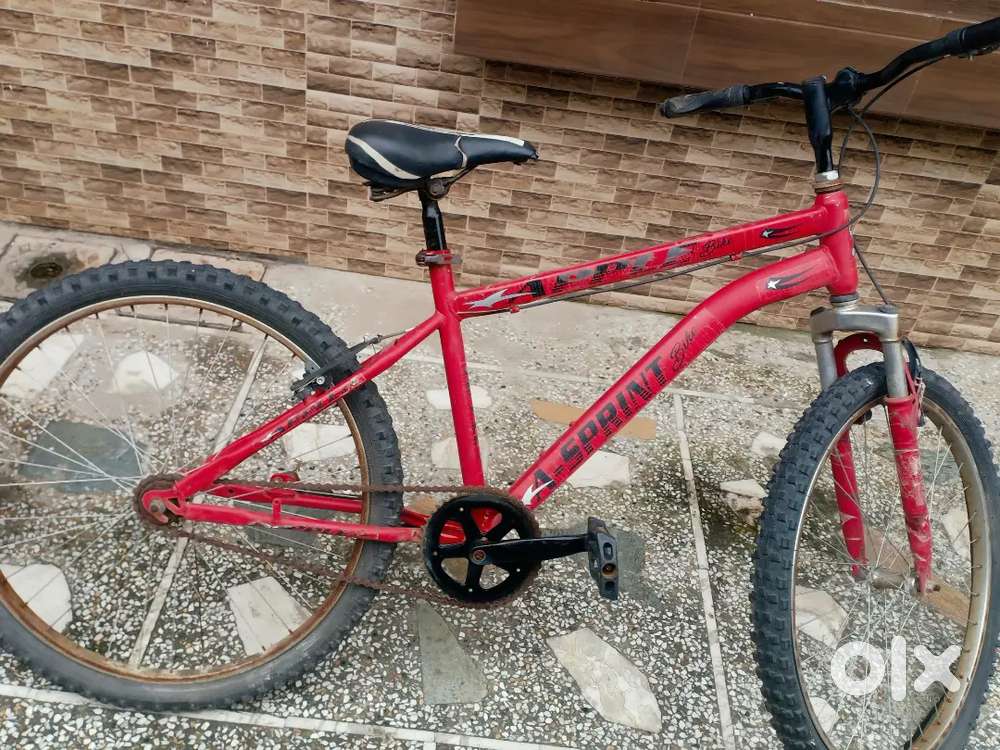 Apple bike a-sport cycle 2021 brought