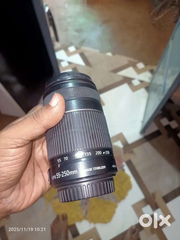 Canon Efs 55-250 blur lense