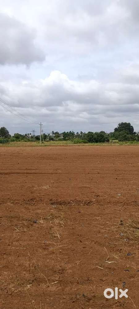 Plots available @govt value