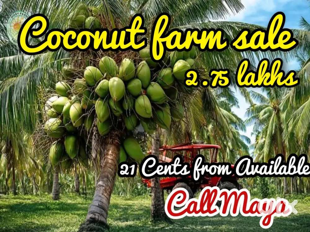 Investment farm sale