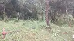 120 Cent Land For Sale