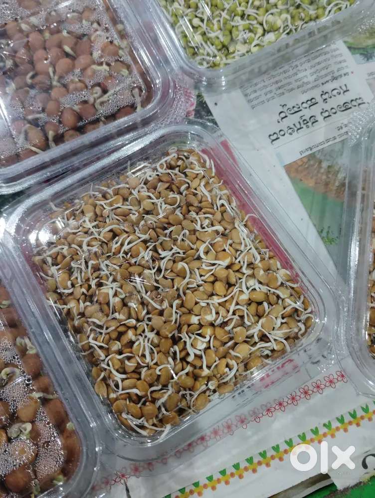 We need continental chef