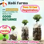 Agri land for sale