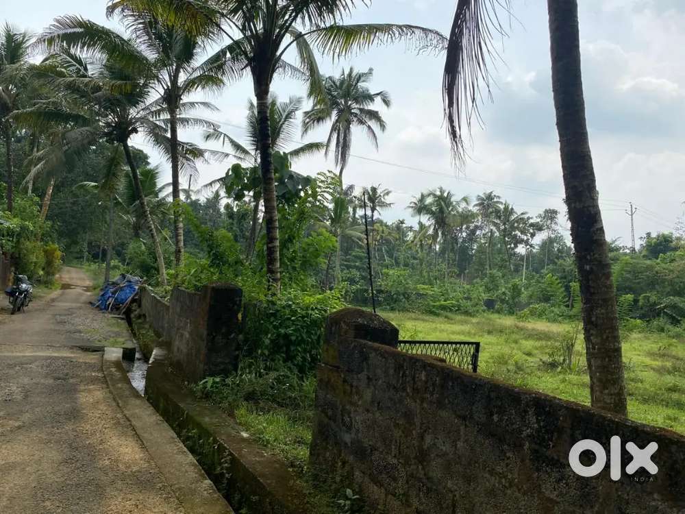 Residential land for sale Near Kurupampady, Perumbavoor