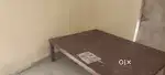 Need roommate