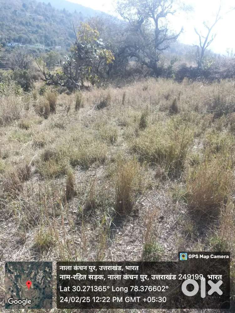 Dono taraf road best plots