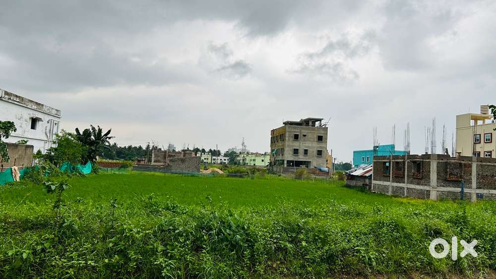 Gharabari plot ,road 30ft jayapur pahala