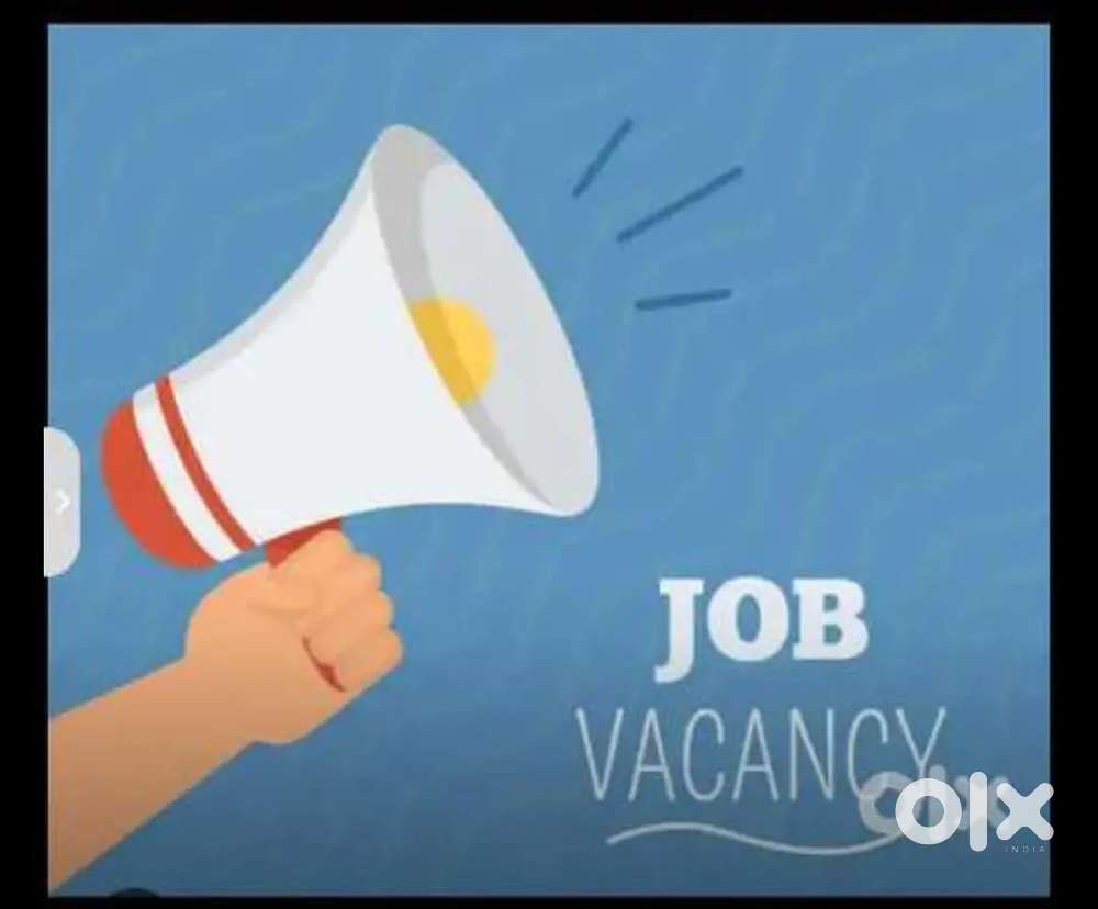 3-5 year's experience in medical shop must