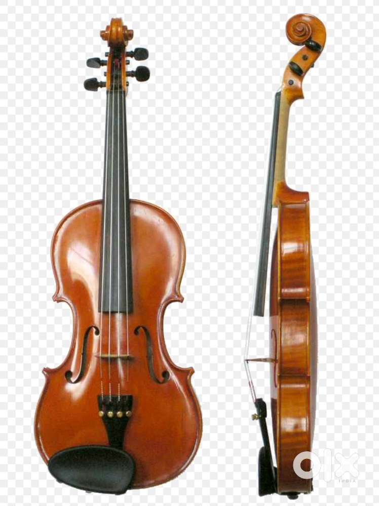 2 Violin brown colour