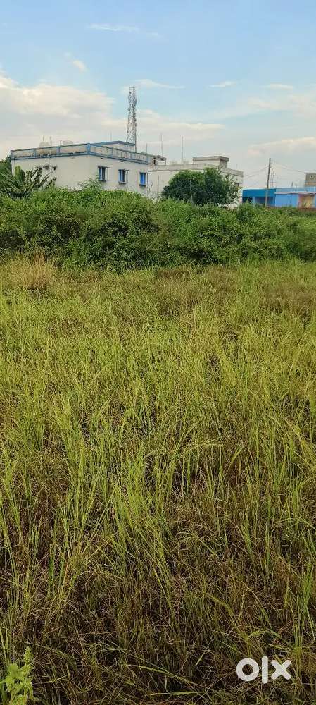 Plot for sale sarang ...near IGIT clg ...3 guntha