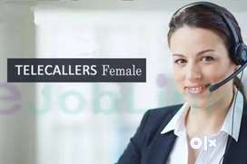 Only female staff telecaller apply job