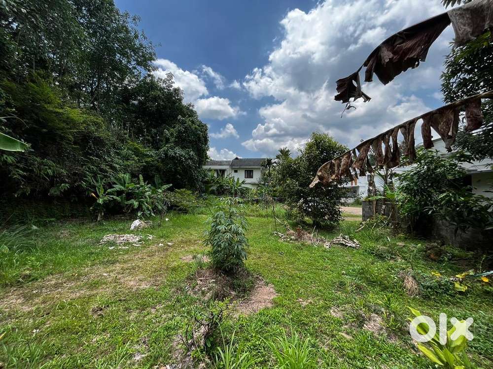 LAND FOR SALE! NEAR VENNIKKULAM MATTAKUZHI ROAD
