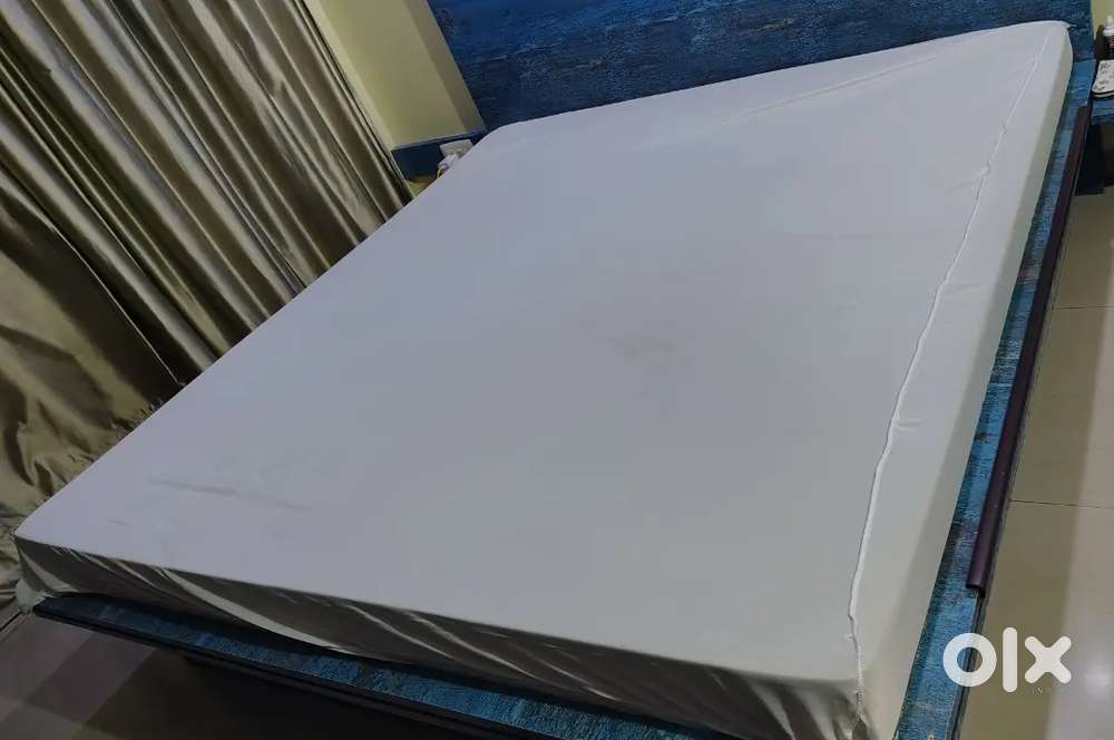 Wakefit ShapeSense Orthopedic Classic Memory Foam king size Mattress