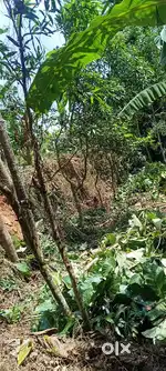 Selling land