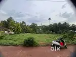 10 cent plot for sale