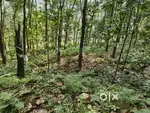 Land for Lease