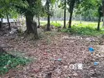 6.50cents of House Plots  near Medical Center Hospital, Palarivattom