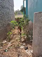 Residential Plot for Sale in Kurthol, Just 50m from Patna–Gaya Road –