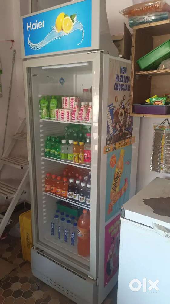 ઉભું ફ્રીઝ