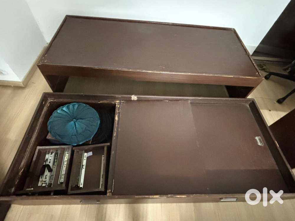 Dual Bed cum Pull out storage