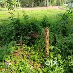 Aluva Thiruvalloor,6cent land