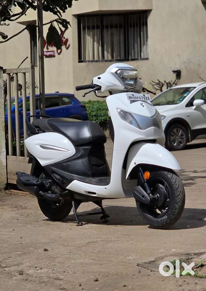 PLEASURE PLUS 2019 Best Condition